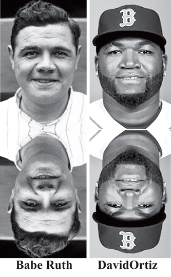 Reincarnation Case of Baseball Legend Babe Ruth| Red Sox Slugger David Ortiz: Past Life Talent and Physical Resemblance